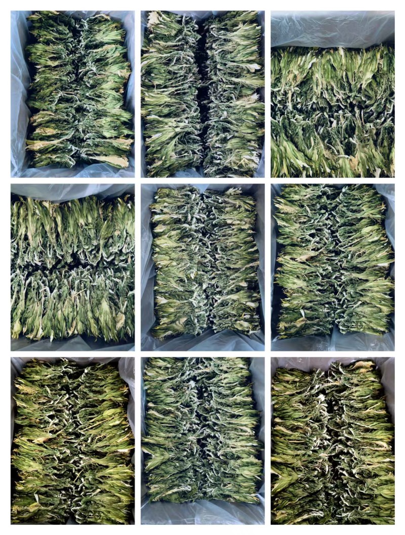 霸王花干花特青特干一手货源