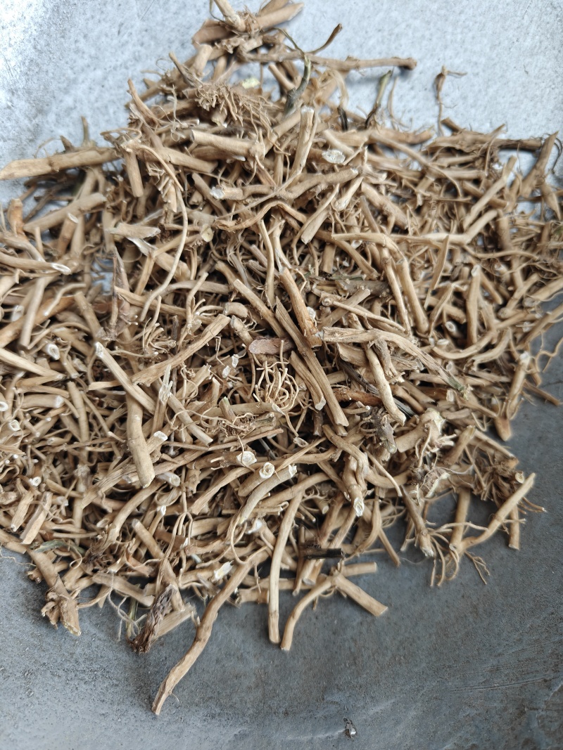 白前新货水洗关书药业批发中药材规格齐全