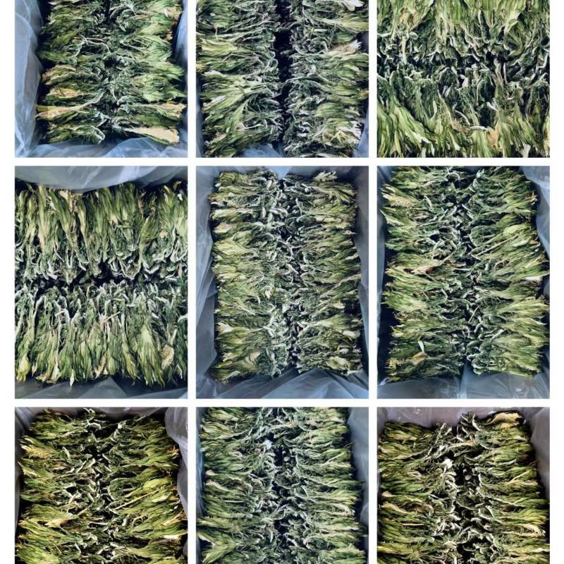 霸王花干花特青特干一手货源