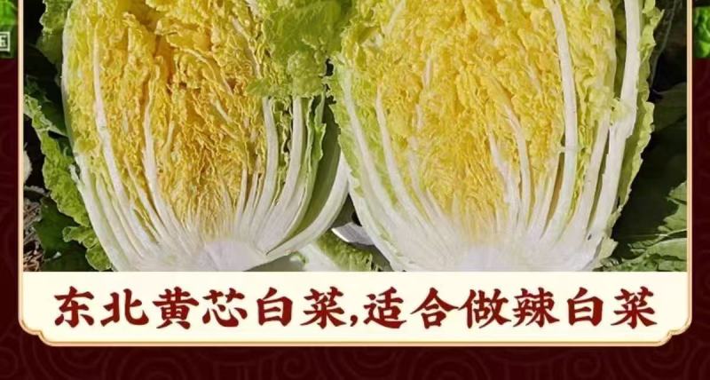 韩式辣白菜200g每袋包邮