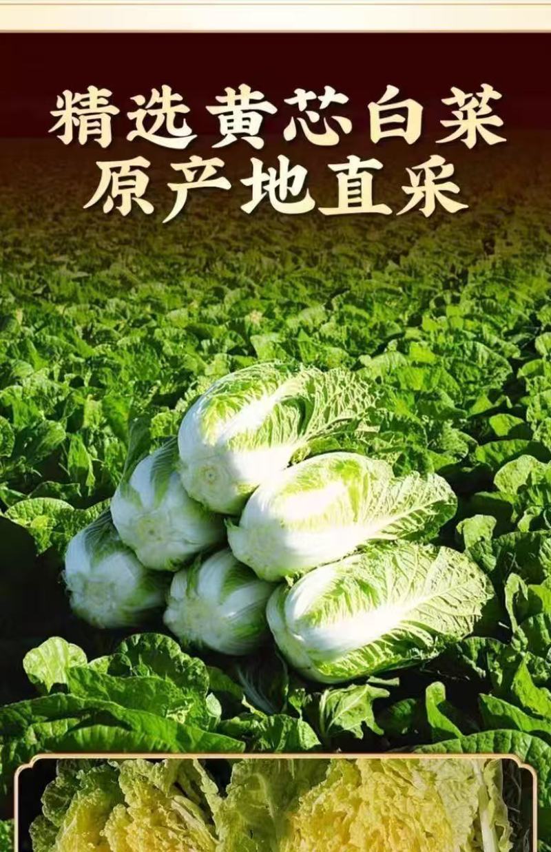 韩式辣白菜200g每袋包邮