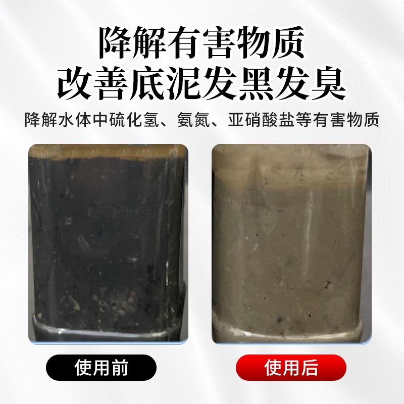 超浓缩粪硫菌改底王鱼虾蟹塘水产养殖专用调水净水改黑除臭