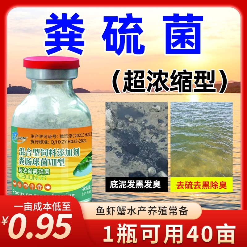 超浓缩粪硫菌改底王鱼虾蟹塘水产养殖专用调水净水改黑除臭