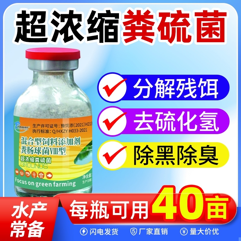 超浓缩粪硫菌改底王鱼虾蟹塘水产养殖专用调水净水改黑除臭