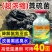 超浓缩粪硫菌改底王鱼虾蟹塘水产养殖专用调水净水改黑除臭
