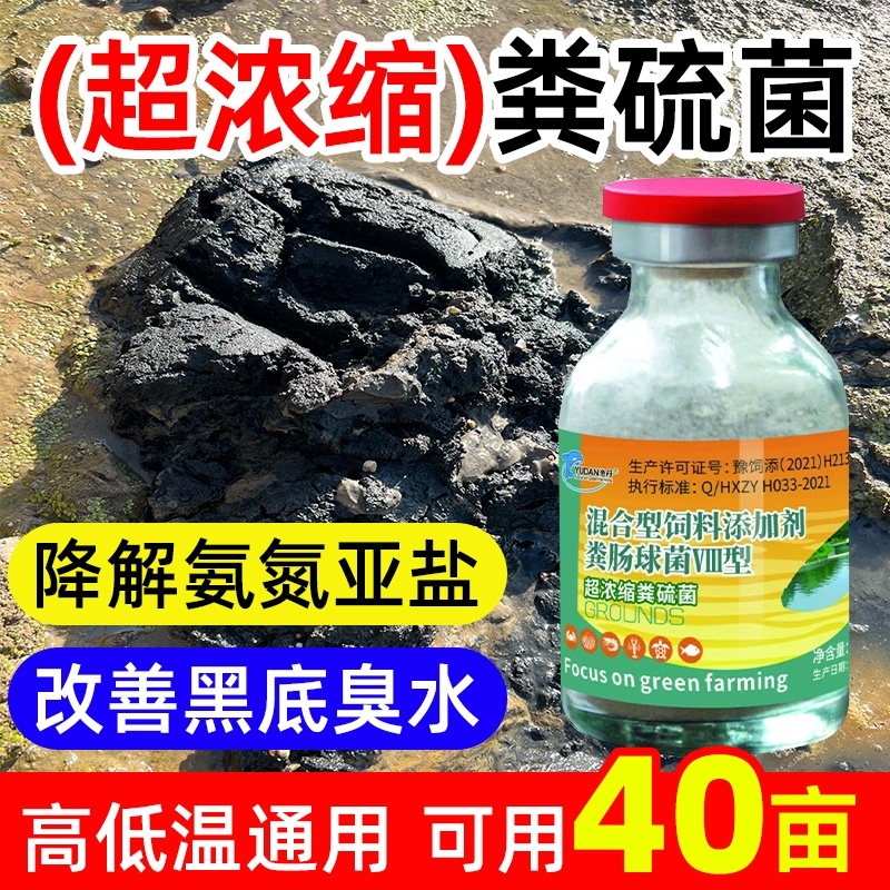 超浓缩粪硫菌改底王鱼虾蟹塘水产养殖专用调水净水改黑除臭