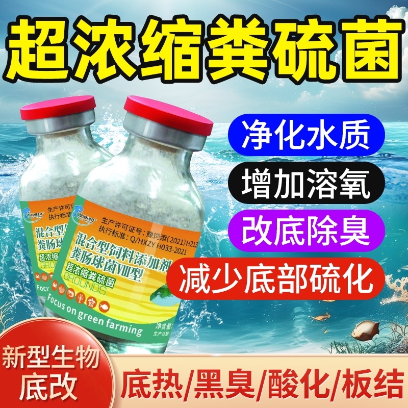 超浓缩粪硫菌改底王鱼虾蟹塘水产养殖专用调水净水改黑除臭