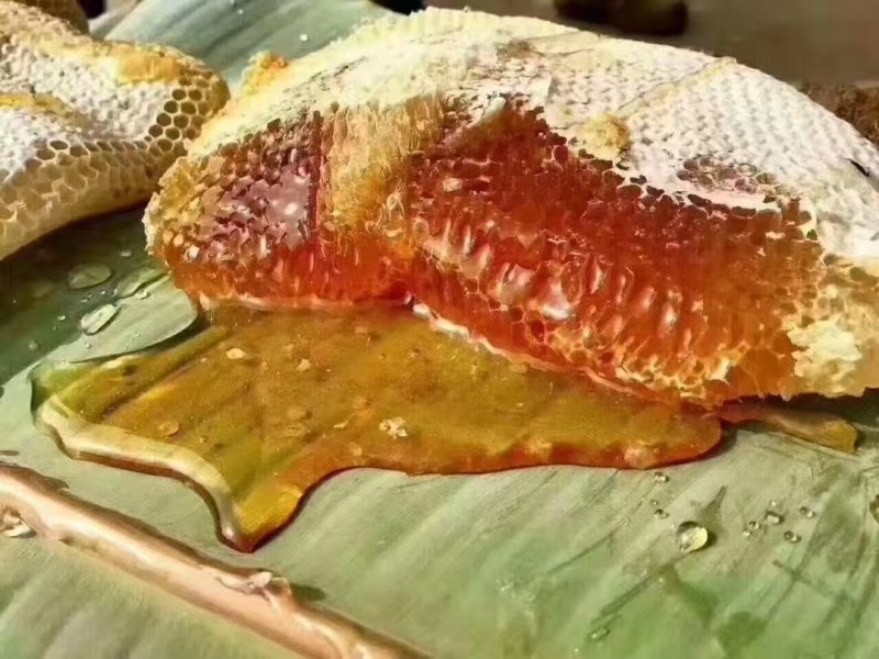 野生蜂蜜