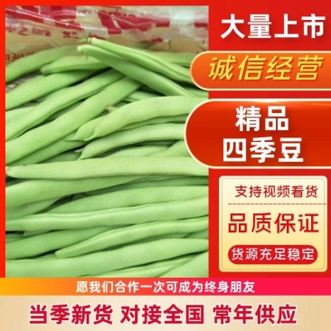 高山精品四季豆产地/大量批发/代找回程车/