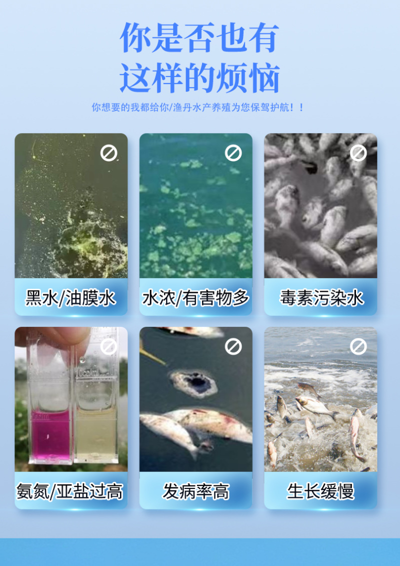 轮多多鲢鳙速长肥水产饲料肥水壮鱼培藻育鱼厂家直销