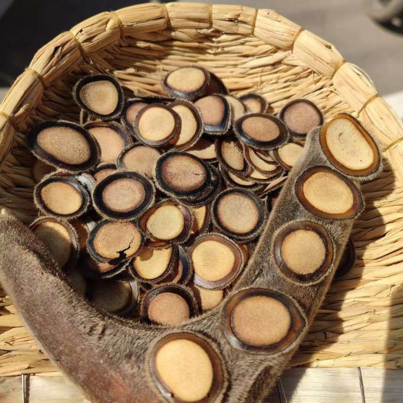 鹿茸片含血量好精品血茸红片细腻好质量均匀圆片无碎残次片