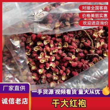 【实力】陕西渭南新鲜凤椒产地直发品质保障量大从优可视频