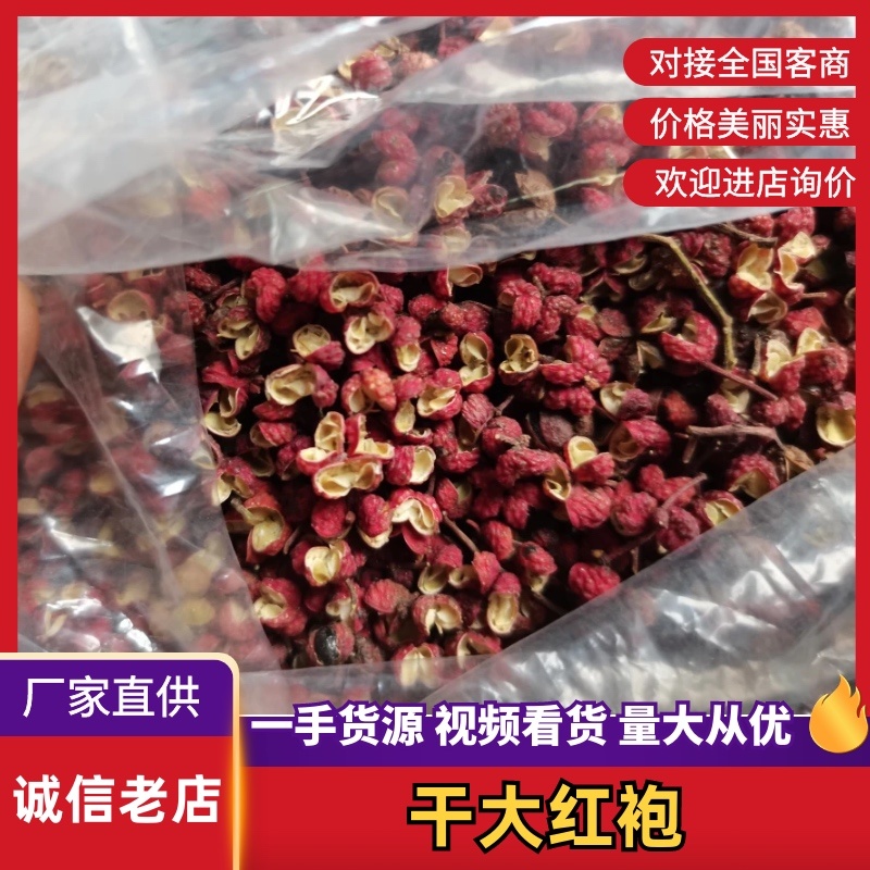 【实力】陕西渭南新鲜凤椒产地直发品质保障量大从优可视频