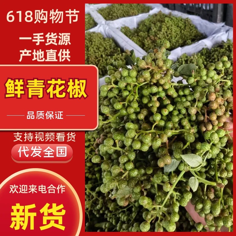 【每日推荐】陕西渭南鲜青花椒产地直发品无虫干净大颗粒