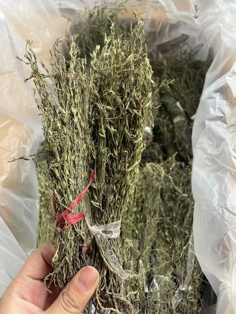 独脚金