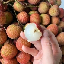 妃子笑荔枝，现货可发，欢迎电商市场老板资询