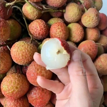 妃子笑荔枝，现货可发，欢迎电商市场老板资询