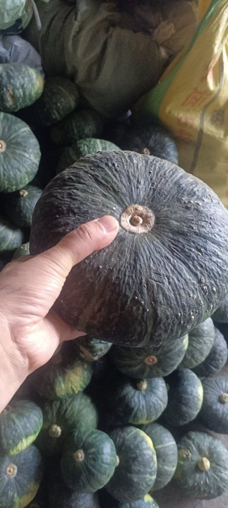 西汉中阳县板栗南瓜，要了，有大货