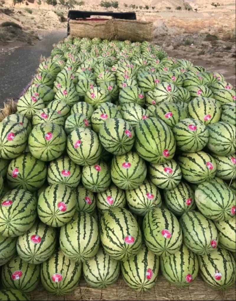 【精选】宁夏西瓜硒砂瓜西瓜代办包熟包甜耐运输量大从优