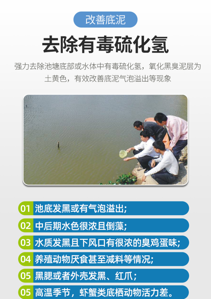 全能底好净鱼虾蟹养殖除硫净臭降解毒素去黑除臭净水养水