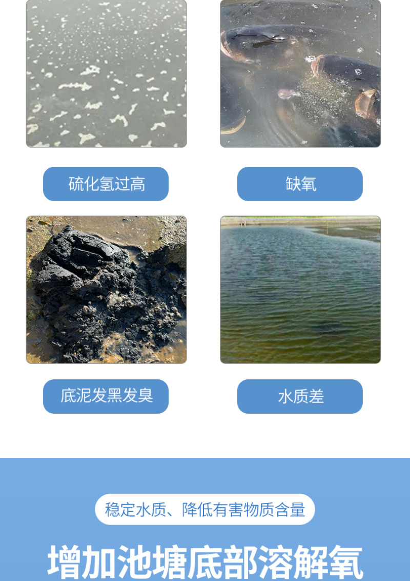 全能底好净鱼虾蟹养殖除硫净臭降解毒素去黑除臭净水养水