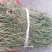大别山纯野生百蕊草，麦黄草，小米草，地石榴
