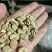 【量大优惠】云南昆明蚕豆品质保障对接全国批发电商