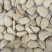 云南昆明白凤豆量大优惠品质保障对接全国