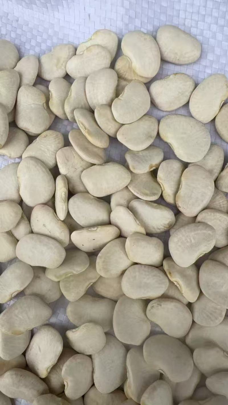 云南昆明白凤豆量大优惠品质保障对接全国