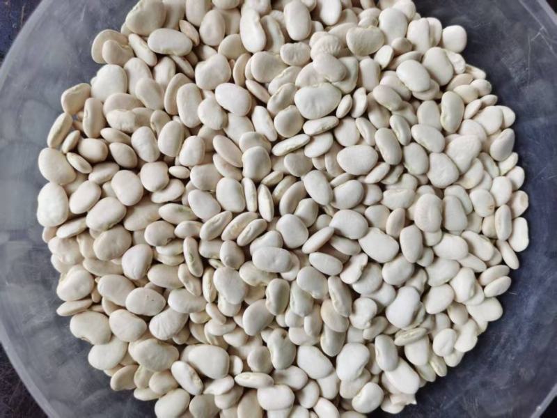 云南昆明白凤豆量大优惠品质保障对接全国