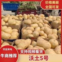 襄阳万亩沃土土豆/黄皮黄心大量上市，各种规格全国发货