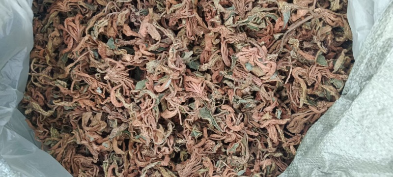 江西赣州石上莲干货大量有货欢迎来电咨询也可视频看货，接受