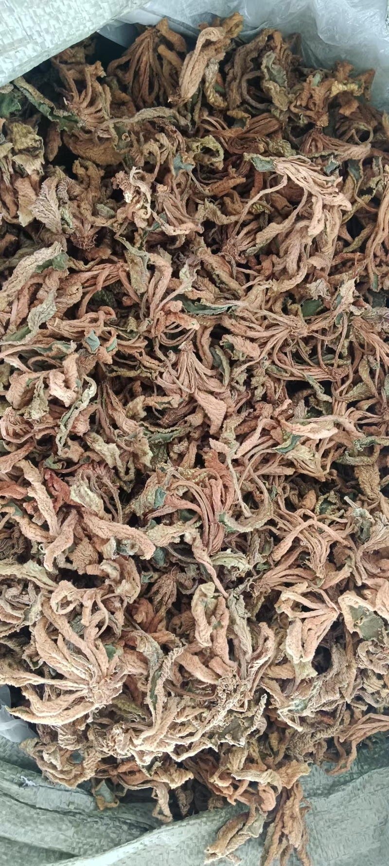 江西赣州石上莲干货大量有货欢迎来电咨询也可视频看货，接受
