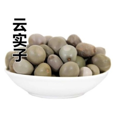 云实子/马豆/天豆