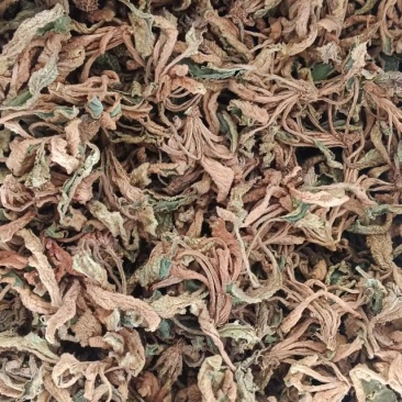江西赣州石上莲干货大量有货欢迎来电咨询也可视频看货,接受