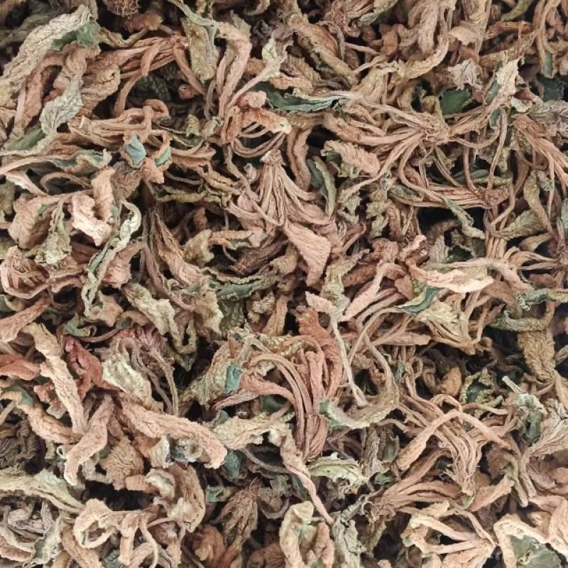 江西赣州石上莲干货大量有货欢迎来电咨询也可视频看货，接受