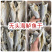 无头海鲈鱼干地摊电商批发无头海鲈鱼干卢肉卢仔加洲鲈鱼干