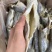 无头海鲈鱼干地摊电商批发无头海鲈鱼干卢肉卢仔加洲鲈鱼干