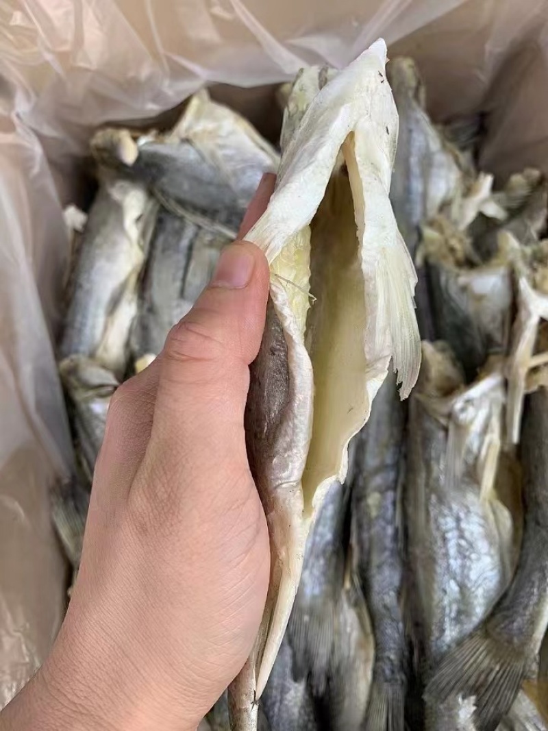 无头海鲈鱼干地摊电商批发无头海鲈鱼干卢肉卢仔加洲鲈鱼干