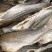 无头海鲈鱼干地摊电商批发无头海鲈鱼干卢肉卢仔加洲鲈鱼干