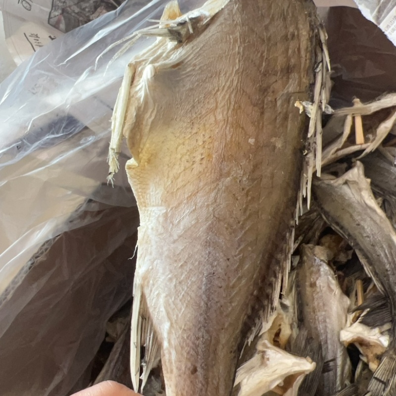 无头海鲈鱼干地摊电商批发无头海鲈鱼干卢肉卢仔加洲鲈鱼干