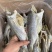 无头海鲈鱼干地摊电商批发无头海鲈鱼干卢肉卢仔加洲鲈鱼干