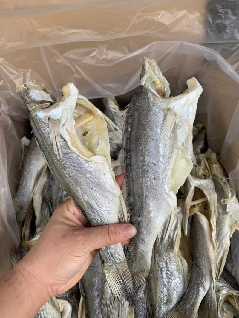 无头海鲈鱼干地摊电商批发无头海鲈鱼干卢肉卢仔加洲鲈鱼干