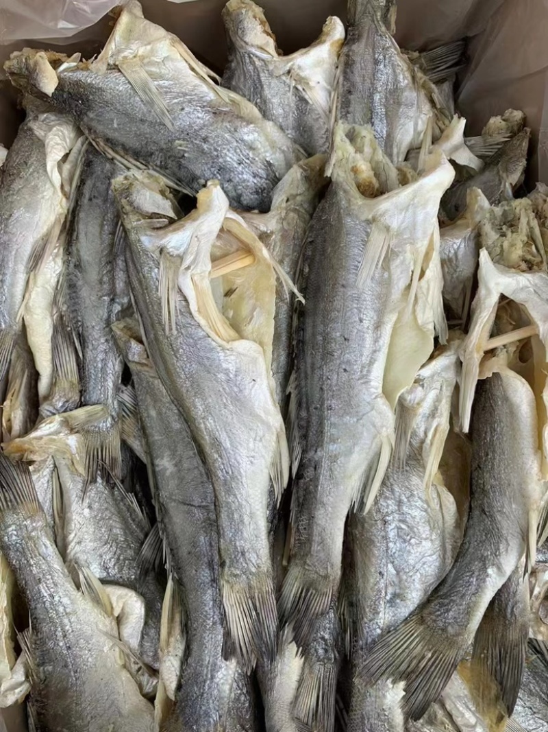 无头海鲈鱼干地摊电商批发无头海鲈鱼干卢肉卢仔加洲鲈鱼干