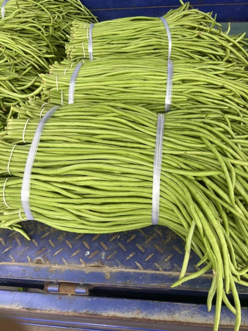 长豆角