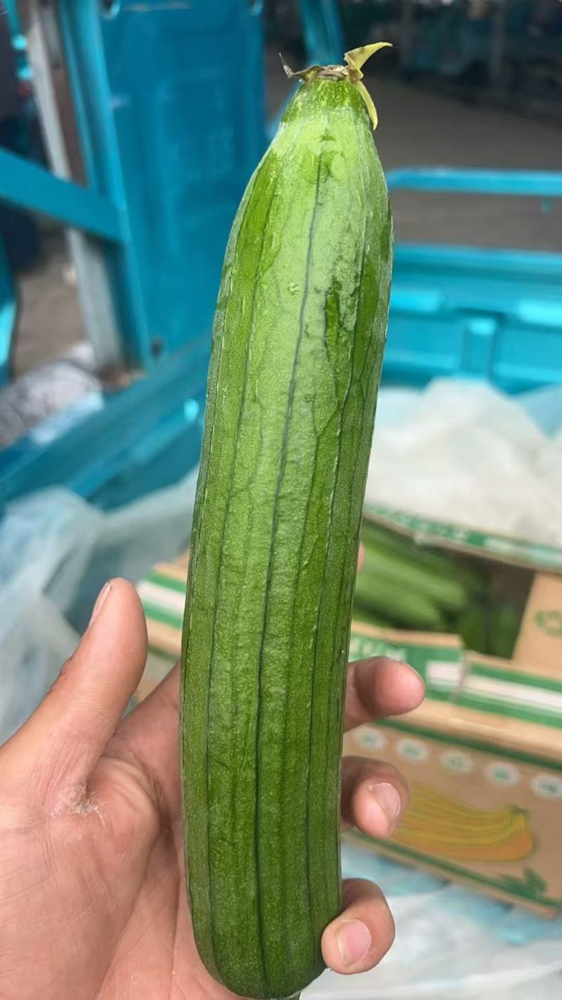 丝瓜