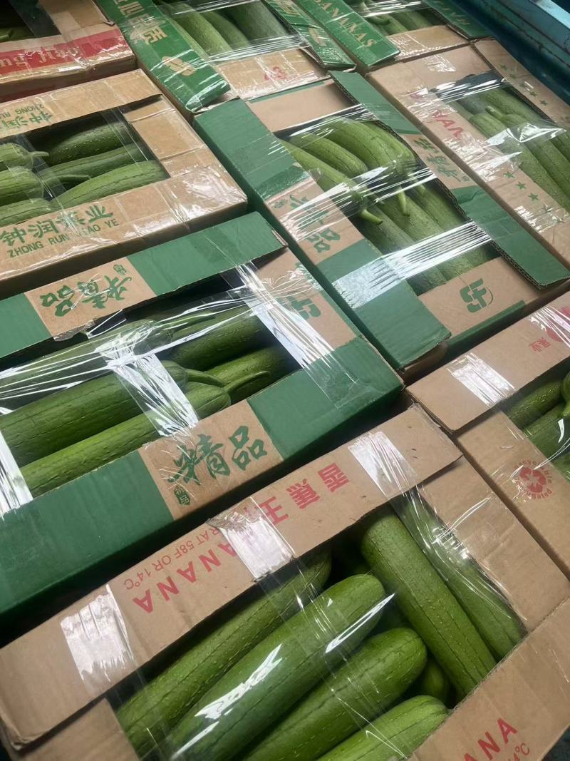 丝瓜