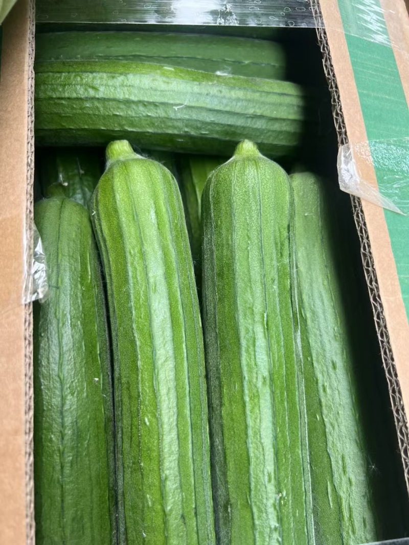 丝瓜