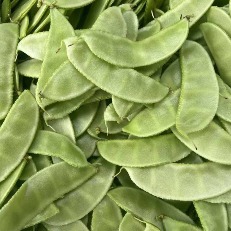 扁豆茶豆