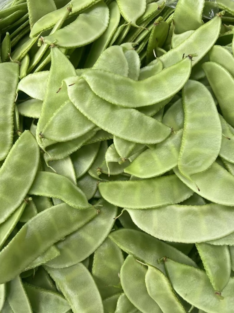 扁豆茶豆